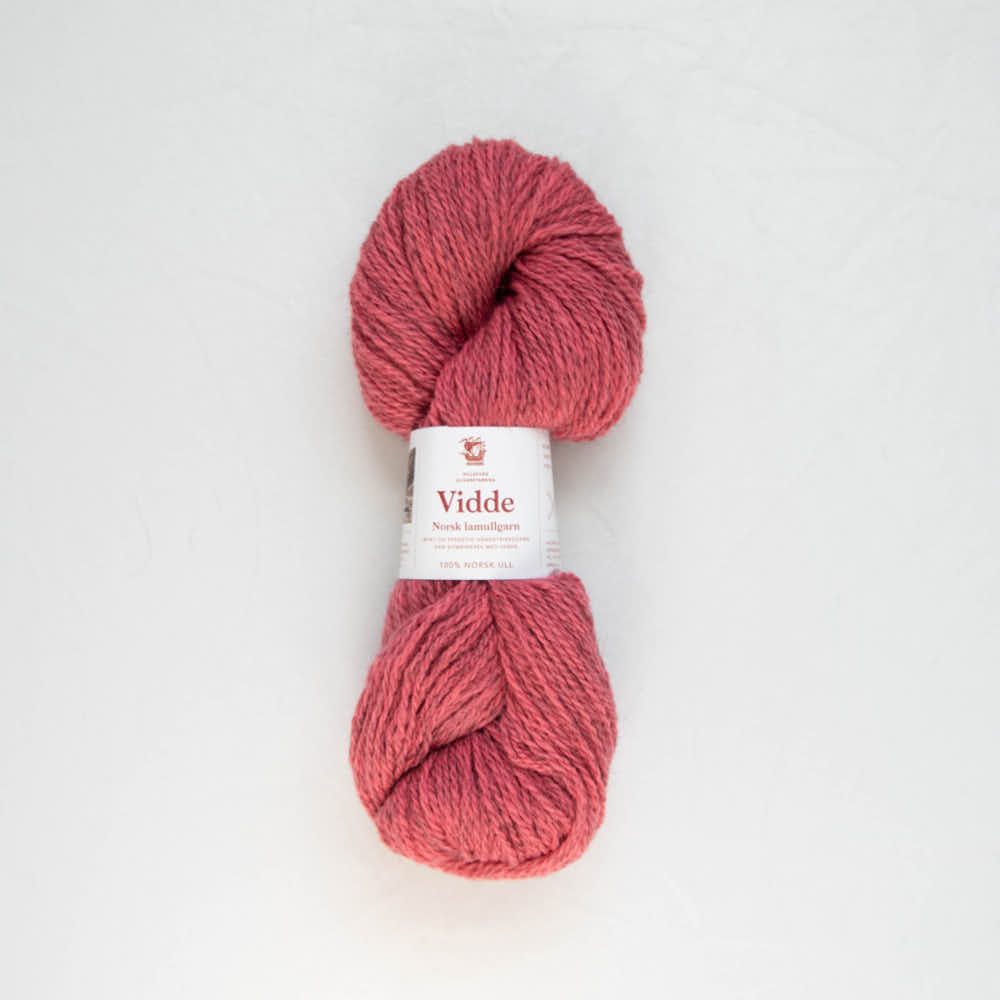 318 lys korall