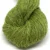 2107 lime