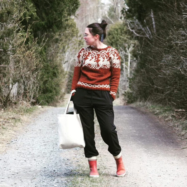 SLEIPNIR IHTIRIEKKOKNITS