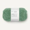 8062 green myrtle